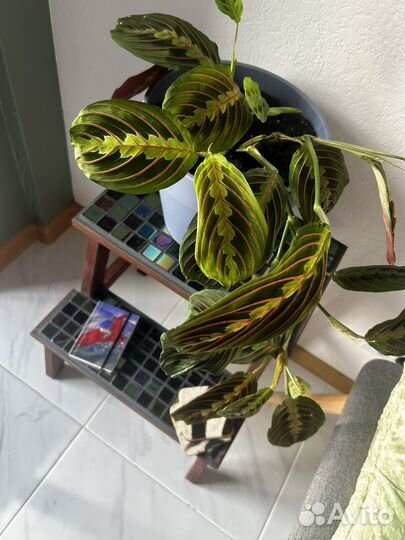 Табуретка стремянка деревянная