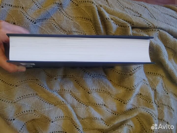 Синдром отката, Нил Стивенсон