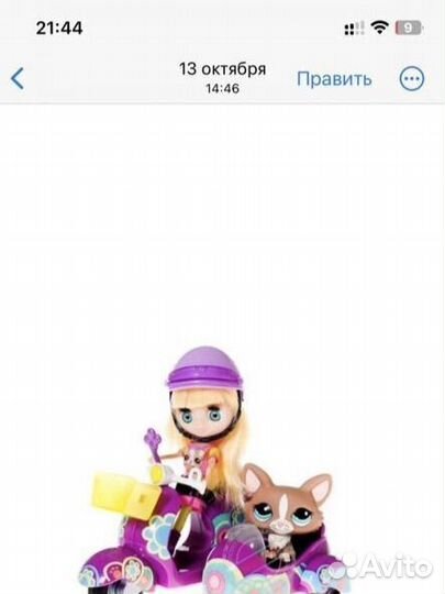 Littlest Pet Shop Blythe corgi