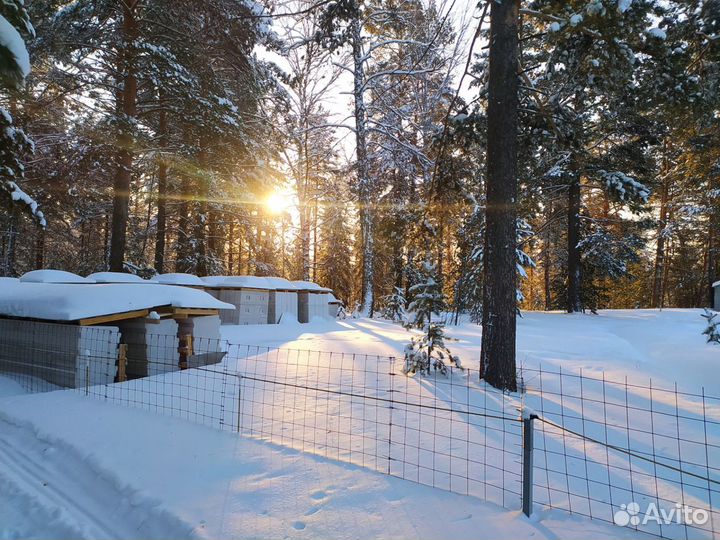 Сибит блоки, плиты перекрытия Сибит и перемычки