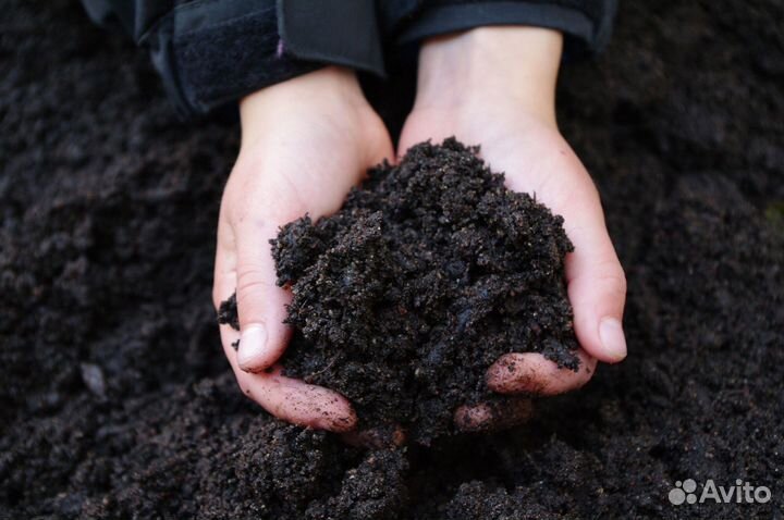 Чернозем, грунт, земля от карьера