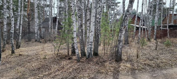 Участок 5,5 сот. (СНТ, ДНП)