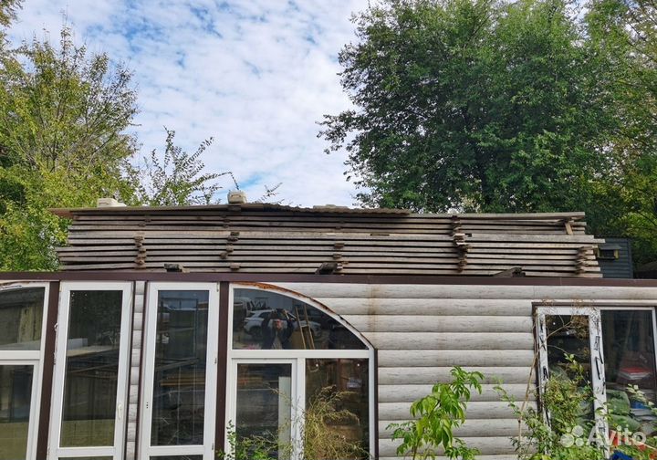 Продаю лес осину