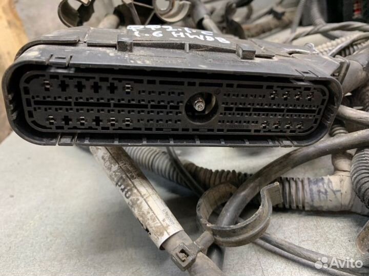 Подкапотная коса Ford Focus 2 седан 1.6 hwdb 2005