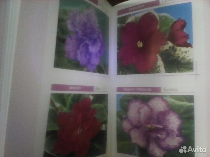 Фотоальбом-книга А. А. Скрябин 