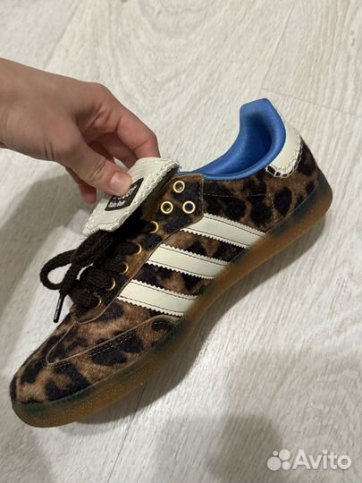 Кеды adidas женские