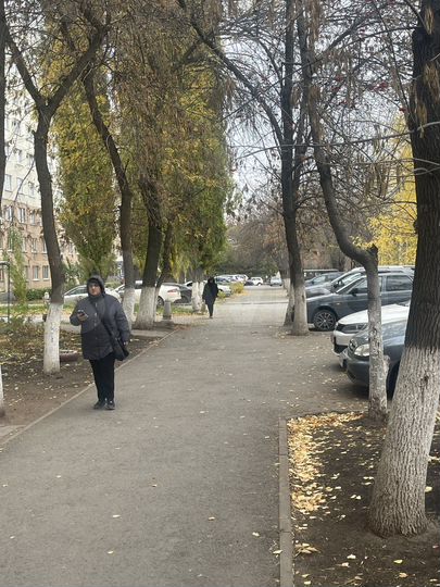 Свободного назначения, 66.4 м²