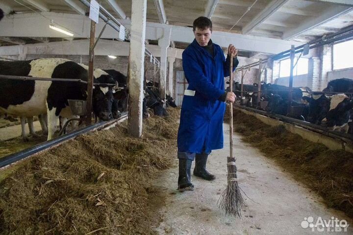 Разнорабочий