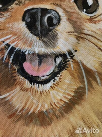 Вигвам для питомца с рисунком