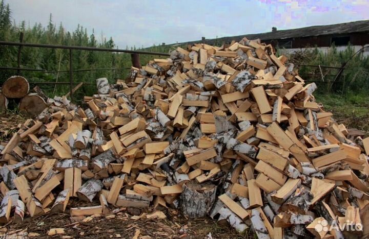 Дрова свежие