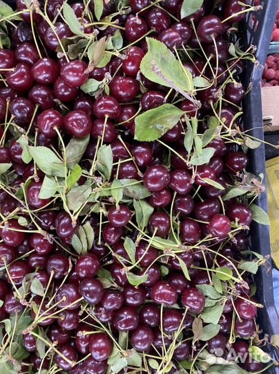 Вишня краснодар ящик 7кг