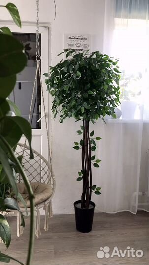 Искусственные деревья, искусственные пальмы