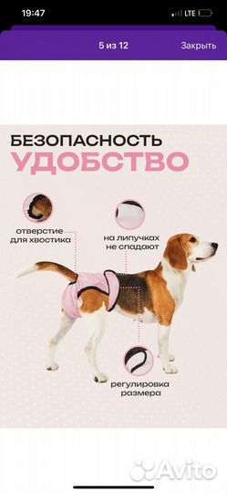 Многоразовые трусики для собак