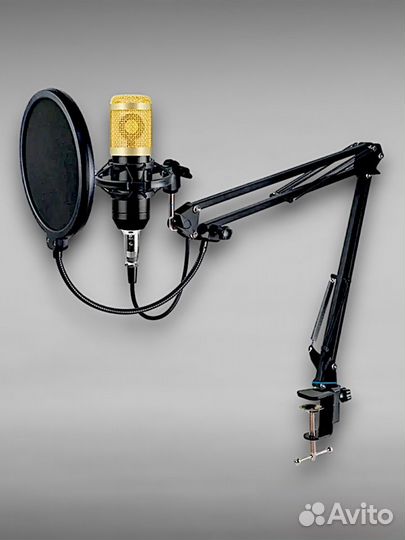 Конденсаторный микрофон с поп-фильтром Набор