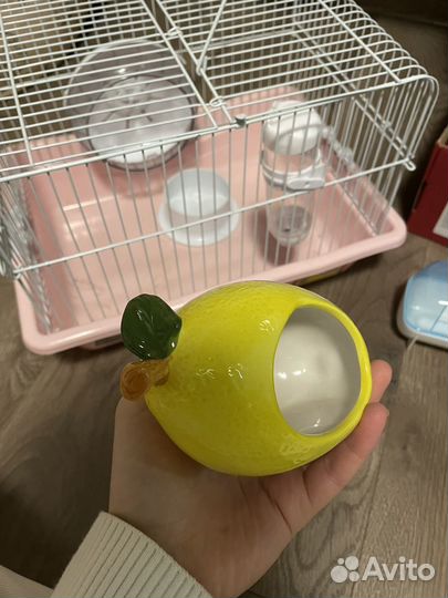 Клетка для джунгарского хомяка