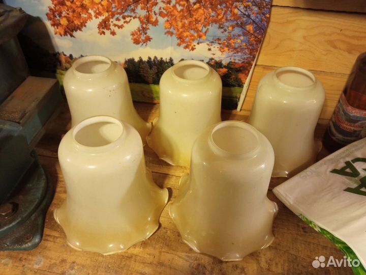 Плафоны для люстры стеклянные