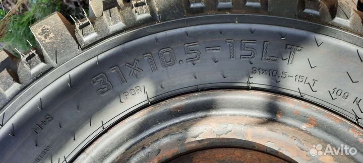 Forward Forward Safari 500 31/10.5 R15