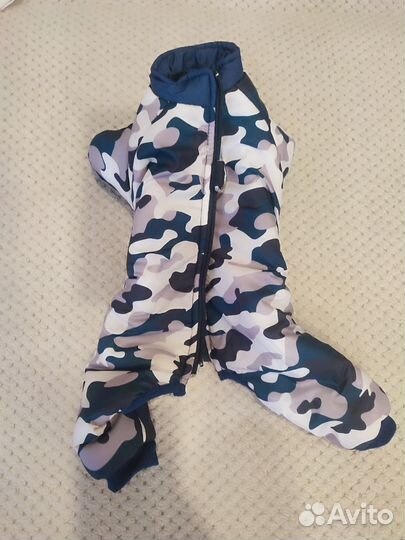 Одежда для собак мелких пород зима