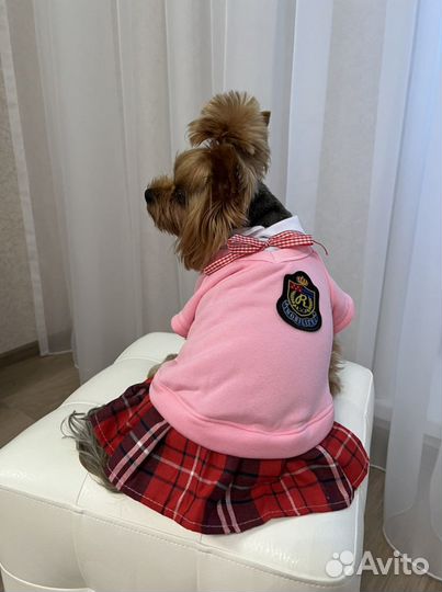 Кофта для собаки