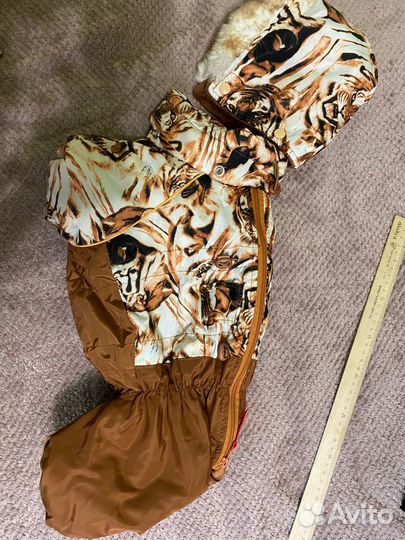 Одежда для собак