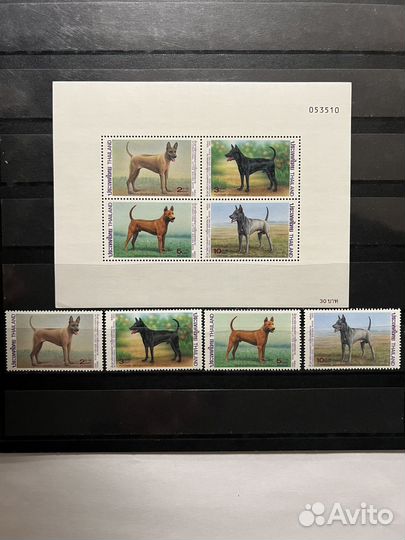 1993 г. Тайланд. Фауна