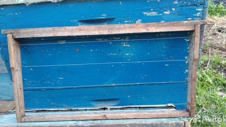 Улья рутта рамки