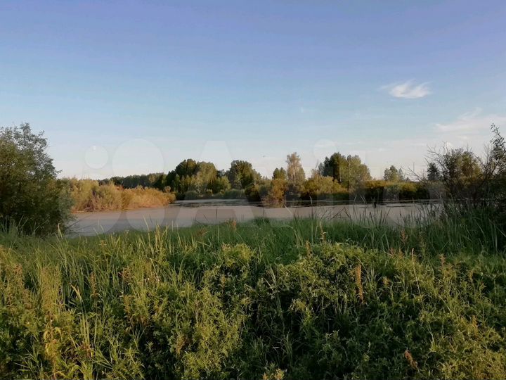 Участок 36 га (СНТ, ДНП)