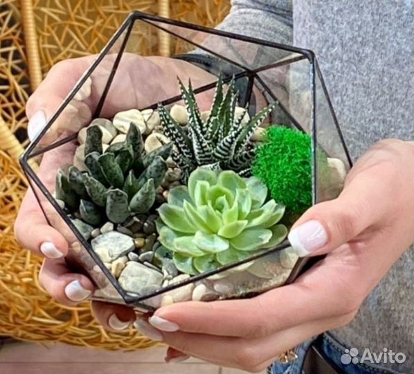 Мастер класс по созданию флорариума