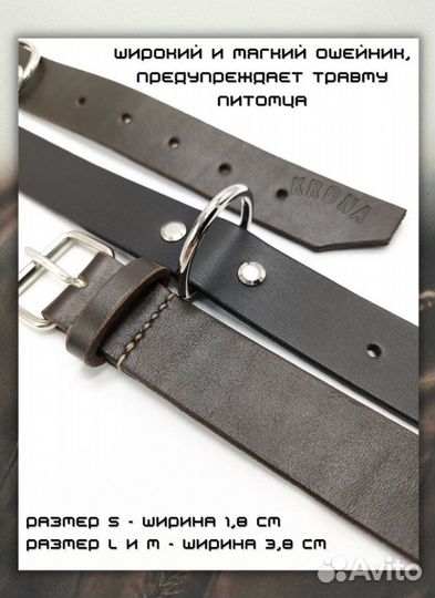 Ошейник для собак цельная кожа
