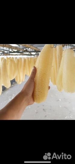 Мочалка люфа,лагинария-кавак