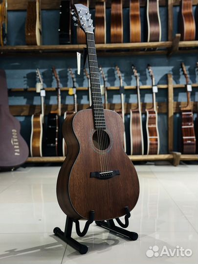 Акустическая гитара Parkwood S22M NS