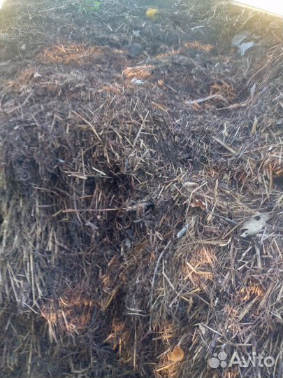 Навоз перегной