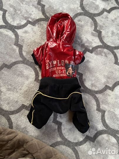 Костюм теплый для собак