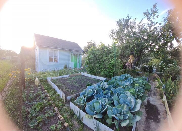 Участок 3,7 сот. (СНТ, ДНП)