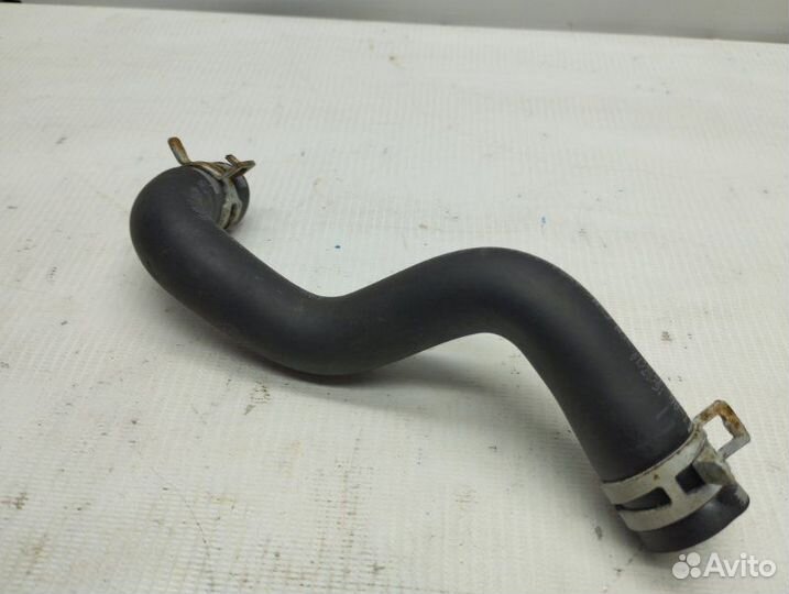 Патрубок бачка гидроусилителя Ford Focus хэтчбек