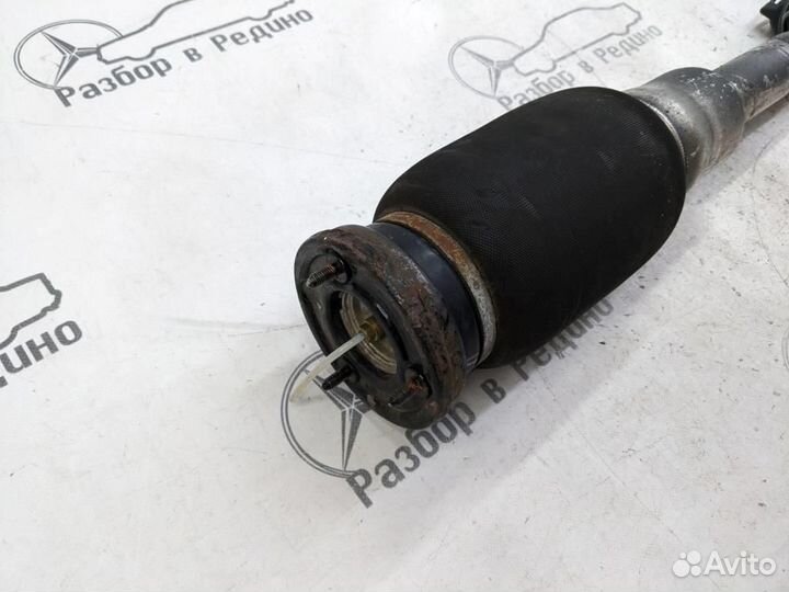 Пневмостойка задняя w220 S-class 113.966 19.05