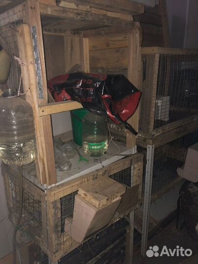 Клетка для кролика