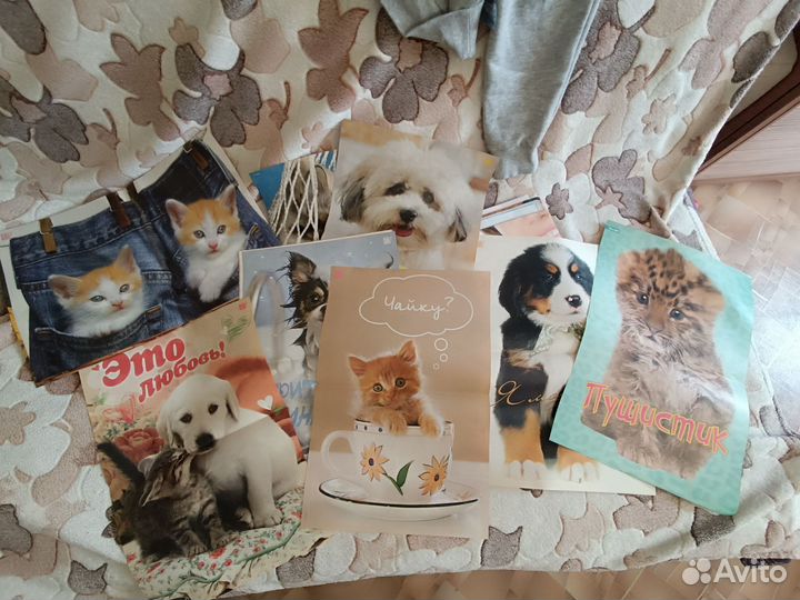 Плакаты постеры