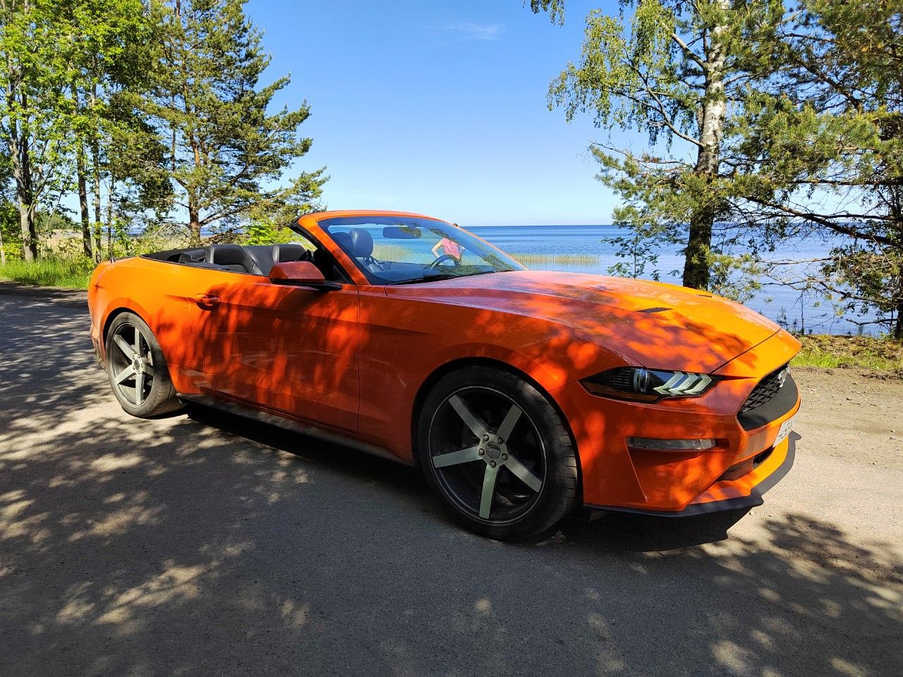 Ford Mustang: фото владельца