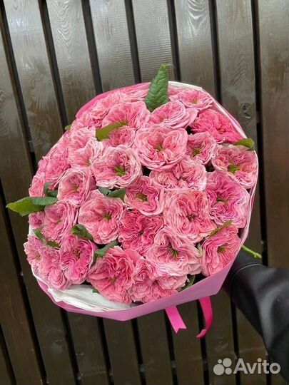 Свежие голландские розы