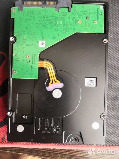 Seagate Enterprise Capacity (ST6000NM0024)
