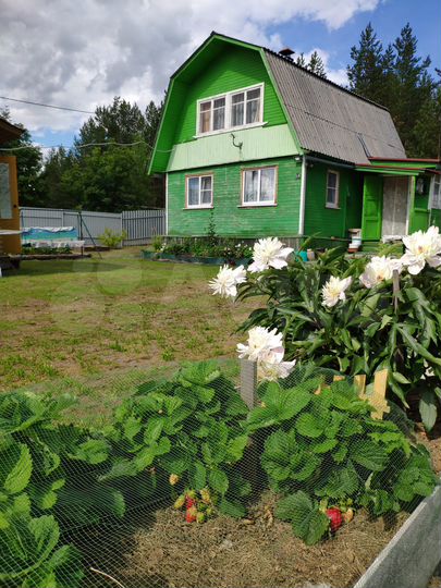 Дача 60 м² на участке 7,2 сот.