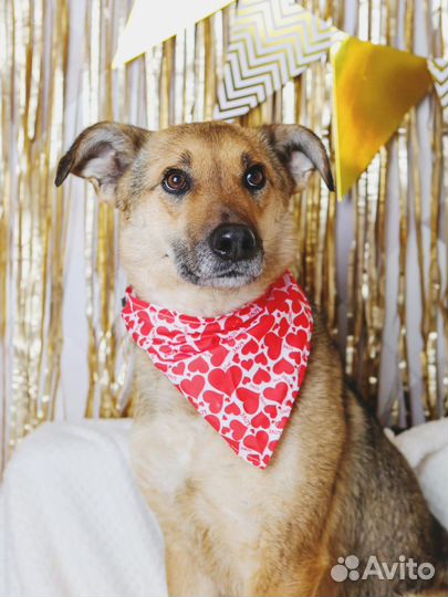 Вернули как вещь