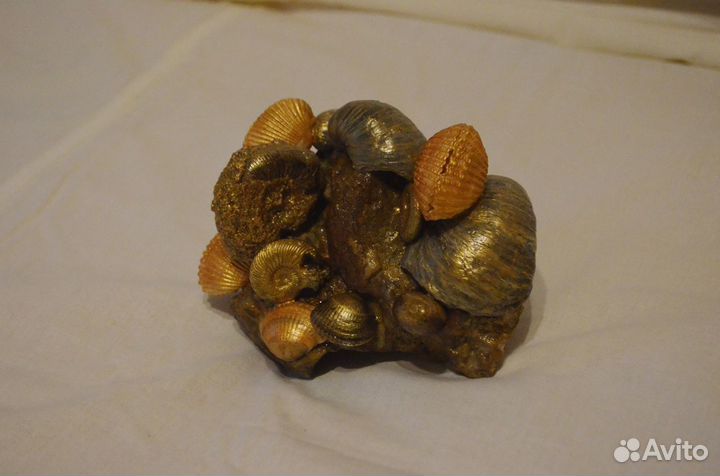 Поделки из окаменелостей