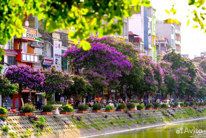 Тур-путешествие во Vietnam от 8 ночей