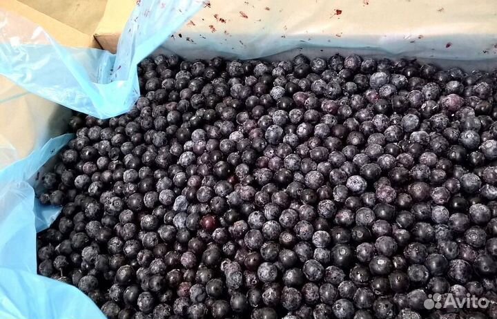 Черника замороженная крупный опт