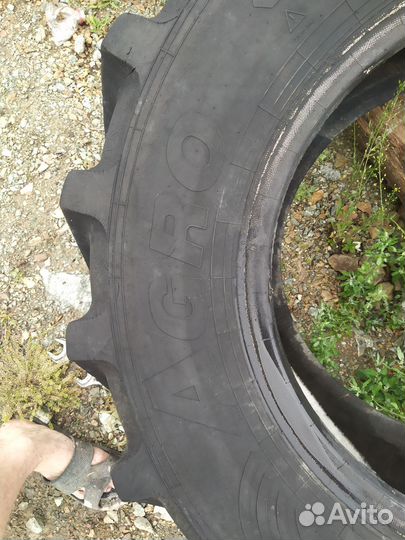 Шины на мтз 1221