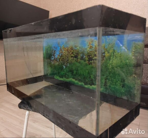 Аквариум на 50 литров