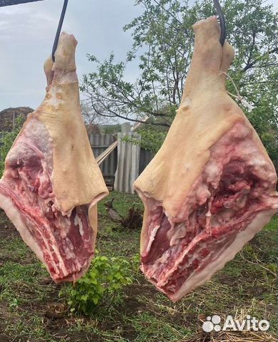 Мясо свинина