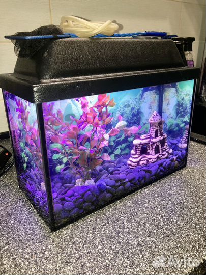 10 литров аквариум полный комплект